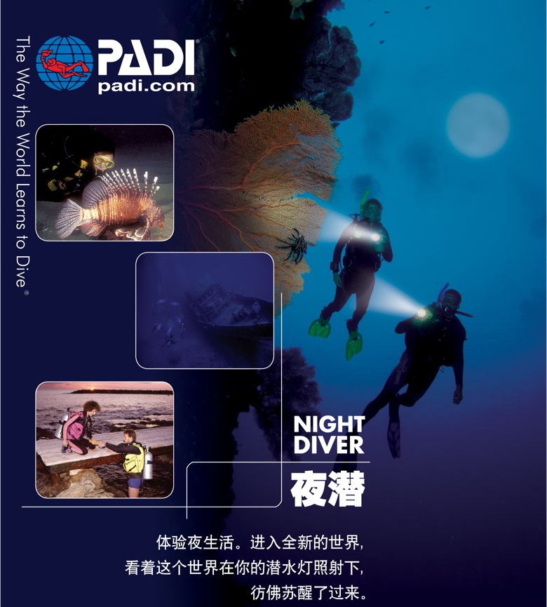 Night-Diver.jpg